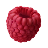 Raspberry