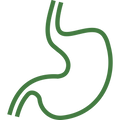 GUT HEALTH